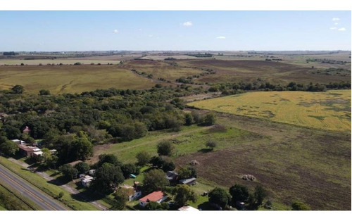 Imagen 23 de 30 de Molino Doll, Campo De 9 Hectáreas Con Casa, Sobre Ruta Y Con Costa De Arroyo