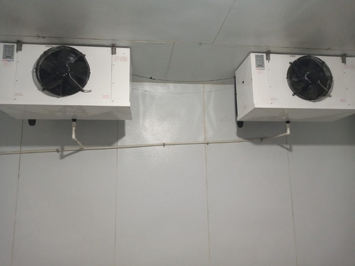 Rento Bodega Con Camara De Refrigeracion Para 90 Toneladas Con 2 Departamentos