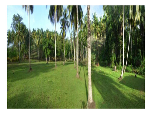 Vendo 12,500 Mts.2 De Terreno En El Limon, Con Proyecto De Villas Aprobadoproyecto Color Limón.