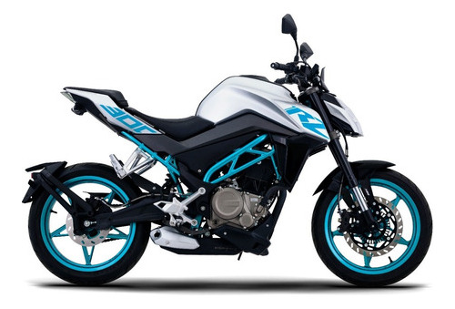 Imagen 14 de 25 de Zanella Cf Rz 300 Nk San Vicente