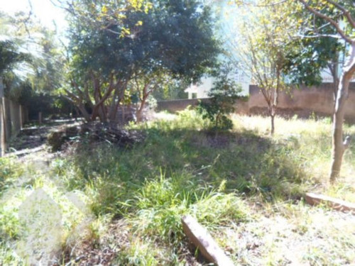Imagem 1 de 3 de Terreno - Tristeza - Ref: 99654 - V-99654