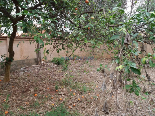 Imagem 8 de 9 de Terreno À Venda Em Cidade Universitária - Te251029