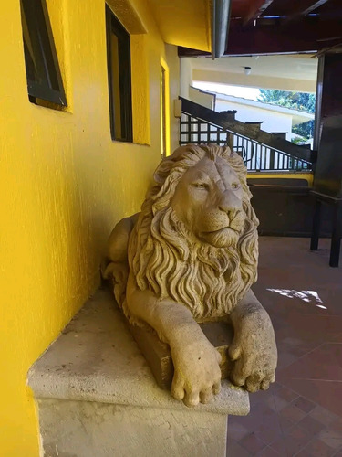 Comoda Casa Un Nivel Conjunto Horizontal Cerca Camino Real S