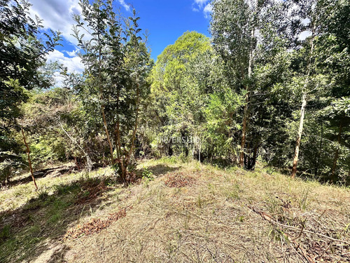 Terreno En Arique Ruta A Valdivia (133760)