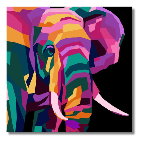 Kit  Para Pintar Por Numeros Lienzo Y Marco Diseño Elefante