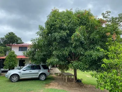 Finca en venta