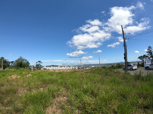 Imagem 8 de 9 de Terreno - Mina Do Mato - Ref: 32415 - V-32412