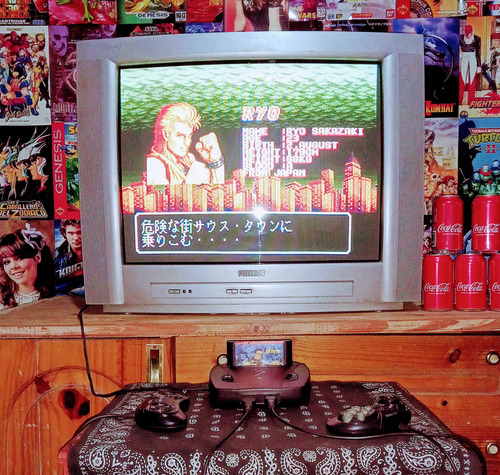 Cartucho De Sega Art Of Fighting