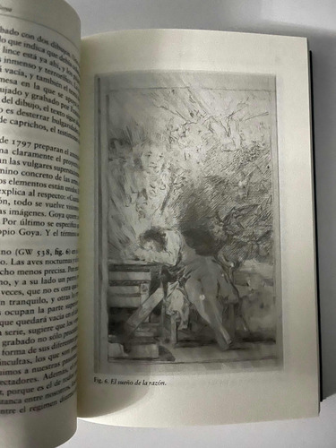 Goya. A La Sombra De Las Luces - Todorov W,1 (Usado)