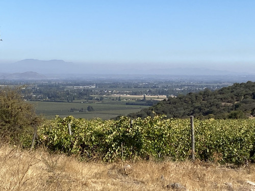 Hermoso Fundo Ubicado A 6,5 Km De San Fernando