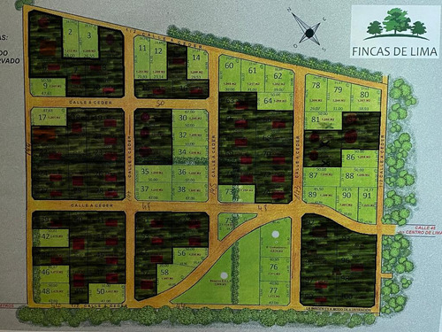 Terreno - Lima