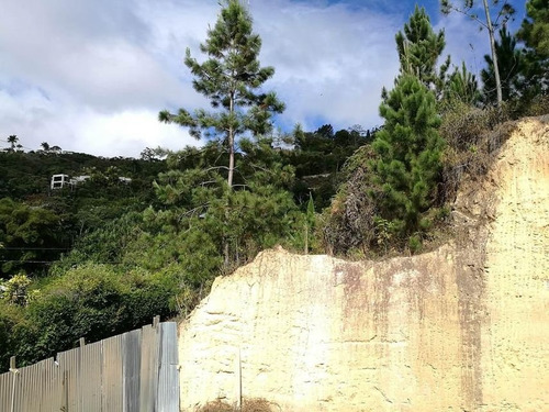 Imagen 4 de 12 de Terreno En Venta El Hatillo 22-22953 Renta House Los Samanes