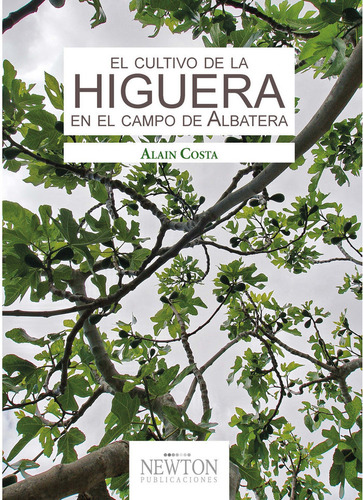 El Cultivo De La Higuera En El Campo De Albatera - Costa Cas