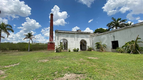 Casco De Hacienda Henequenera En Venta. Uman, Yucatan