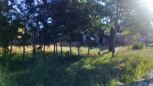 Casa En Venta Con 1.200m2 De Terreno