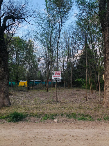 Terreno En Venta A Dos Cuadras Del Rio Los Reartes. En Villa Ciudad Parque Los Reartes. Valle De Calamuchita, Sierras De Córdoba.