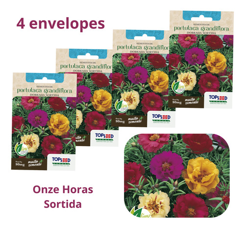 Kit 4x Sementes De Onze Horas 80mg Sortida Dobrada Portulaca
