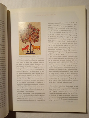 El Camino De La Lengua Castellana (Usado)