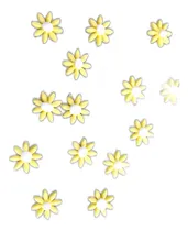 Comprar Flor Margaritas Comestibles X50 Amarillas Centro Blanco