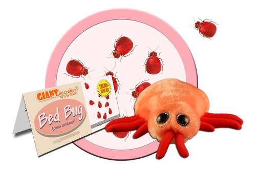 Peluche Chinche De Cama Cimex Lectularius Giantmicrobes