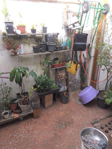 Imagem 13 de 20 de Casa De Vila Luz Sao Paulo Sp Brasil - 3568