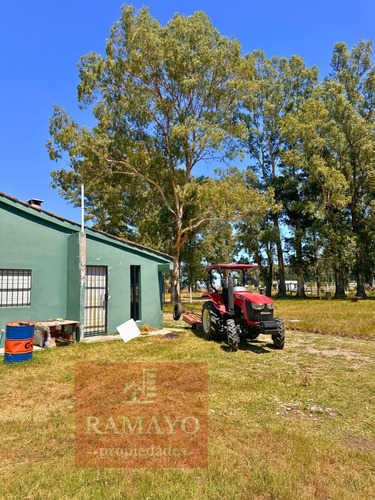 Excelente Predio Comercial, 3 Piletas, Baños, San Vicente, Alquila Ramayo Propiedades