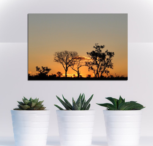 Cuadro 60x90cm Sabana Africa Paisaje Atardecer Naturaleza