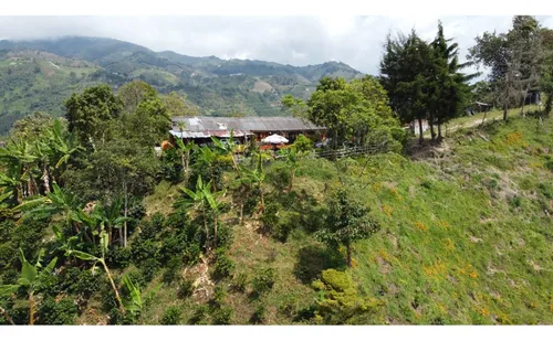 Venta Finca 77000 Mts2 Abejorral Vereda El Guaico