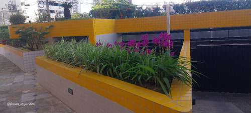 Jardineiro Profissional