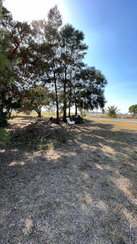 Imagen 15 de 15 de Campo En San Pedro