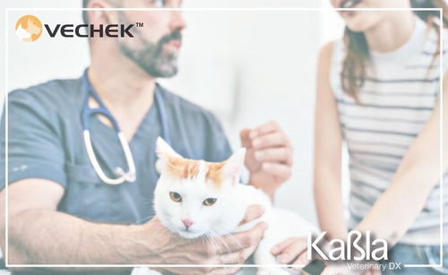 Prueba De Virus Del Herpes Felino - Con 10 Pruebas - Vechek