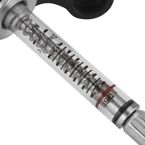 Bomba De Con Manómetro Para Válvula Y Presta, 160 Psi,