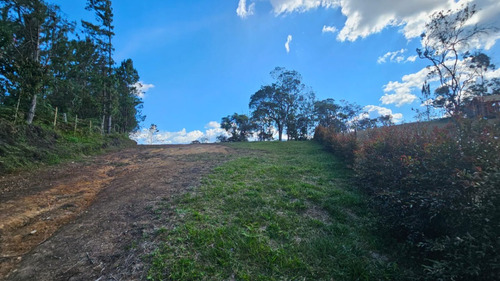 Venta De Lote En San Vicente Ferrer Vereda Chaparral