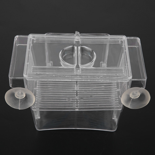 Caja De Cría De Peces Transparente Para Proteger A Los
