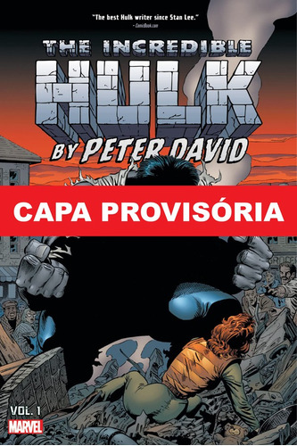O Incrível Hulk Por Peter David Vol. 1 (omnibus), De Steve Englehart. Editora Panini, Capa Dura Em Português