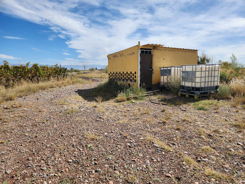 Bodega Y Finca En Venta
