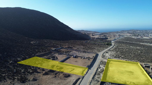 Parcela 5000m2 En Arriendo En Coquimbo