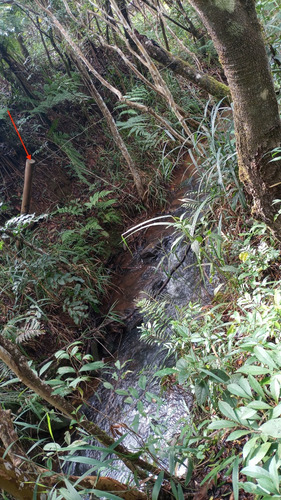 Lote Em Condomínio 1000m2 Na Estrada Real Córrego No Fundo. Lote Em Caeté Próximo A Barão De Cocais