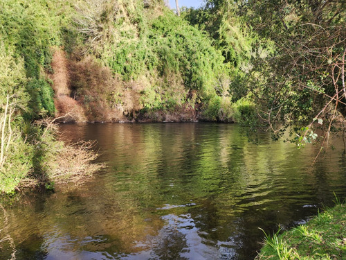Terreno Orilla Rio Maullin Y Ruta V60 Ideal Pesca Inversion