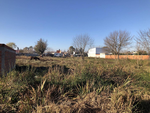 Imagen 10 de 16 de Terreno En Venta En La Plata | 4 E/ 97 Y 98 (lote 3) 300,10 Mts