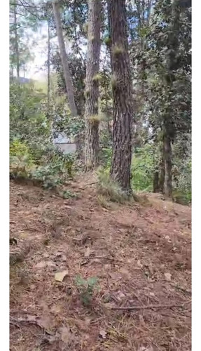 Amplio Terreno Para Cabañas En Los Alcanfores Sclc
