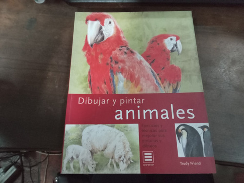 Libro Dibujar Y Pintar Animales