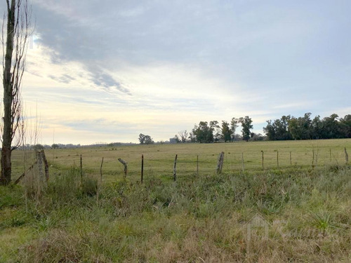 Imagen 13 de 15 de Campo En Venta - General Rodríguez