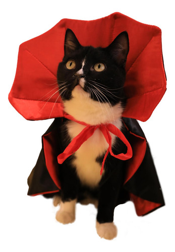 Disfraz De Capa De Vampiro For Perro, Gato, For Perros