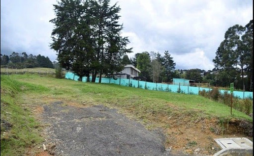 Lotes En Venta Alto De Palmas 643-4994
