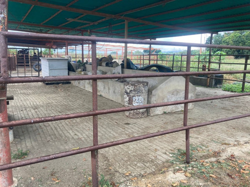 Finca En El Asentamiento Campesino Las Mariposa Plf-003