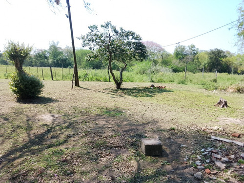 Quinta