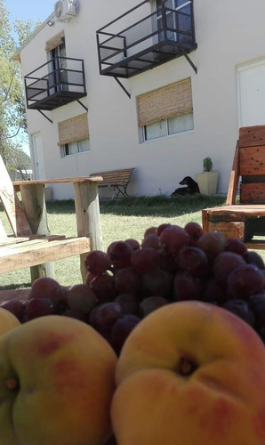 Imagen 1 de 5 de Cabañas En Mendoza!!!