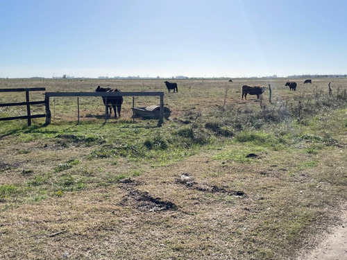 Lotes En Paraje Don Cipriano