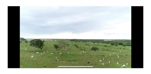 Imagem 8 de 22 de Fazenda 1958 Hectares, Planta 1500 Hectares, Rica Em Água Com Rios, Açudes, Casas, Curral, Galpões, Poços Artesianos, Terra Fértil - Fa00237 - 70701334